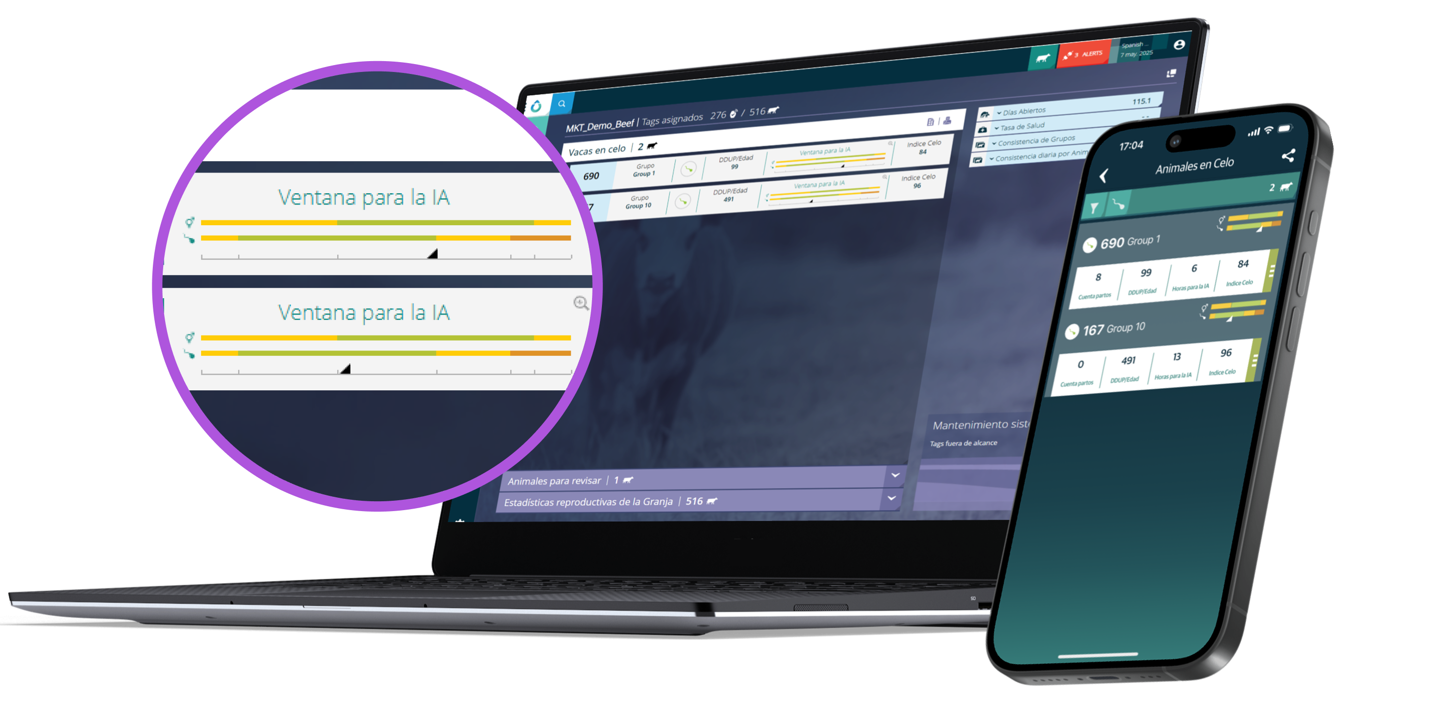 laptop and phone with data