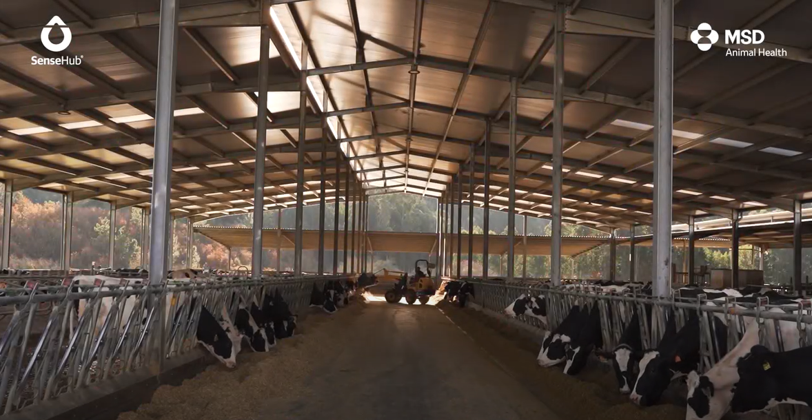 “Hay una diferencia en resultados muy grande de tener el sistema funcionando, a no tenerlo”